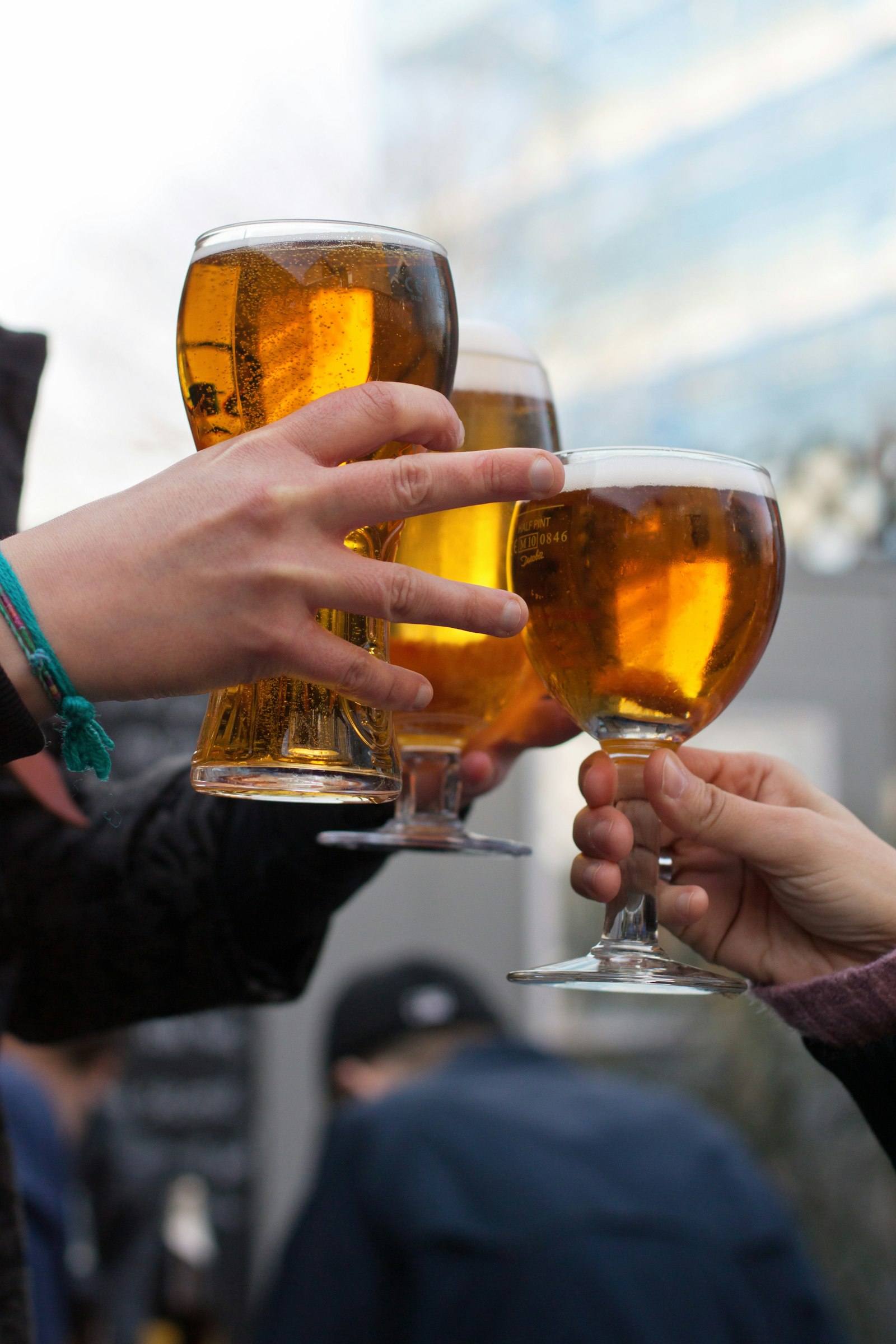 Group of friends toasting with glasses of beer